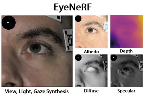 EyeNeRF: A Hybrid Representation for Photorealistic Synthesis, Animation and Relighting of Human Eyes