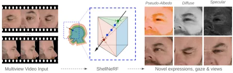 ShellNeRF: Learning a Controllable High-resolution Model of the Eye and Periocular Region